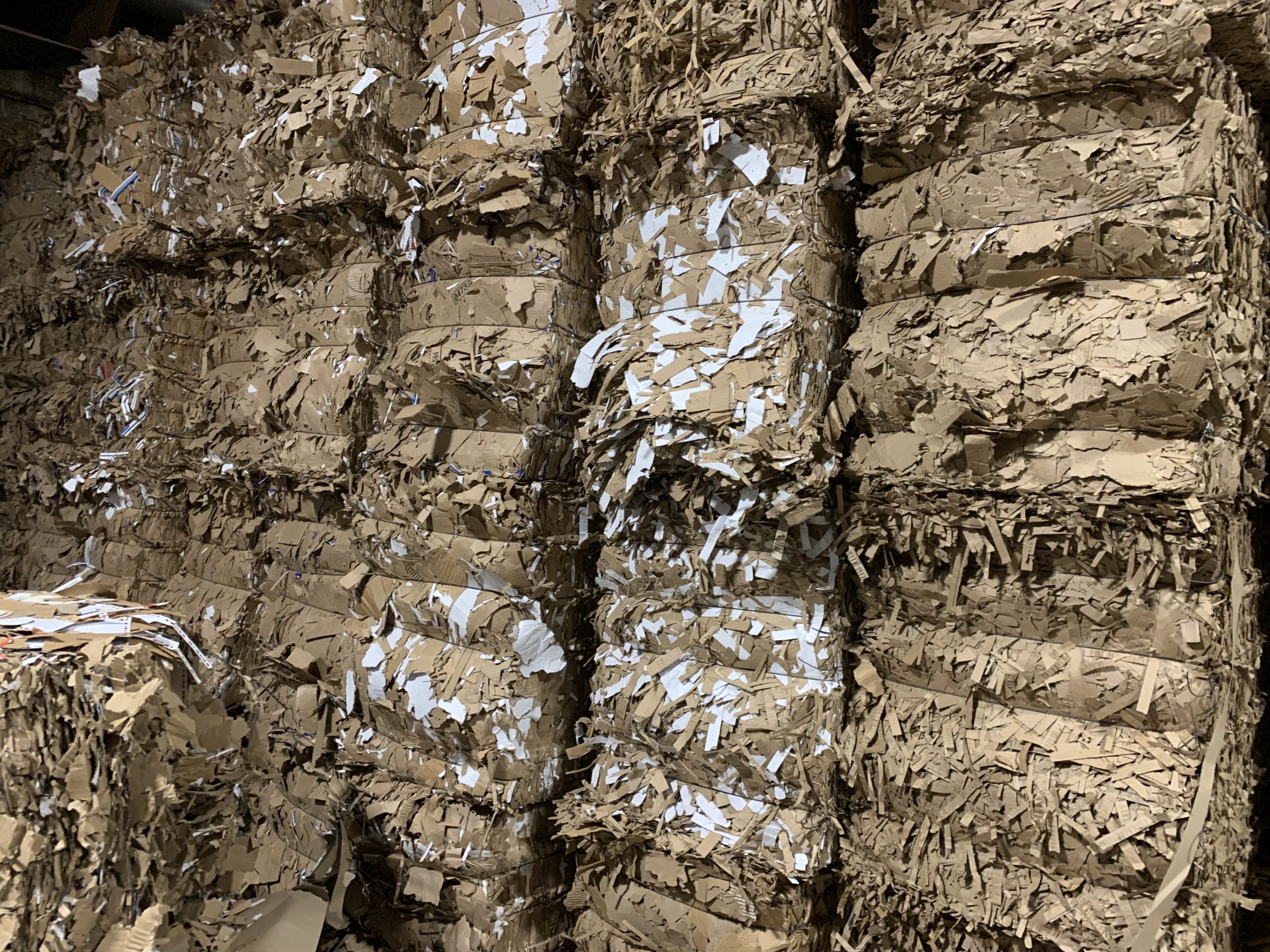 Cardboard Recycling: Northrich Sustainable Strategies